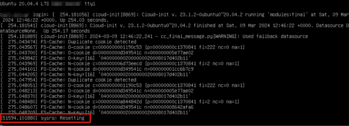 image-20240314105758022